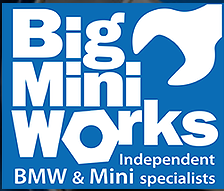 mini specialist logo