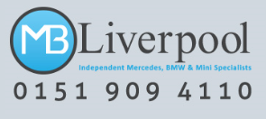 mini specialist logo